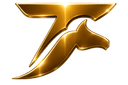 لوگوی تک سرعت ارس